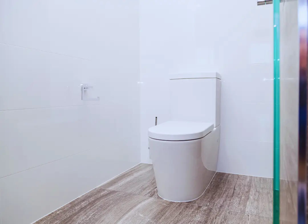 Remplacement de wc Cénac